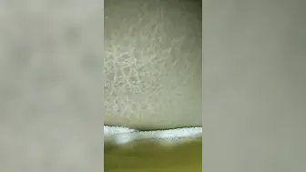 Ma chatte est trempée