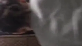 eastern bitch Mei-Ling fucks my penis while Im on the