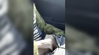 داشتم میرفتم خونه که تو راه انقدر حشری شدم مجبور شدم یه جق بزنم به یادتون