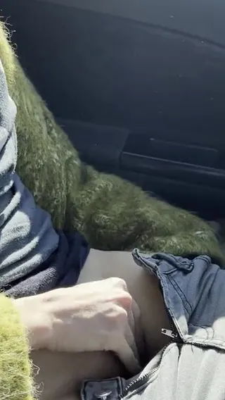 PersianXBunnyX