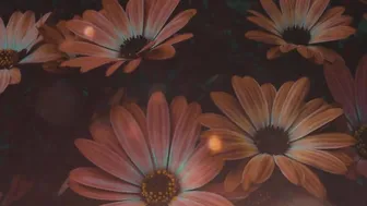 pov: Your partner makes fun of her nose - ASMR | True Love | Wholesome | Romantic | Body Positive