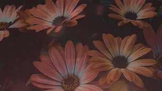 pov: Your partner makes fun of her nose - ASMR | True Love | Wholesome | Romantic | Body Positive