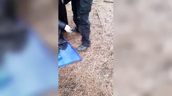MissesT sucking off off two strangers (skank mom fiance)