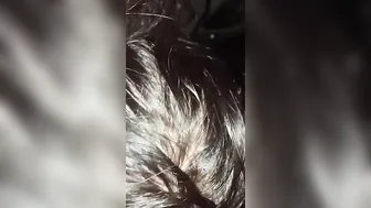 Road Oral Sex Cougar Suffolk
