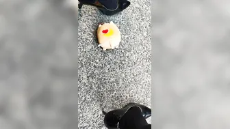 野外女装ハイヒールで踏み潰しクラッシュフェチ