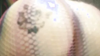 Lil Freak Cherri Babii makes Do$ Du Muni cum inside 6min