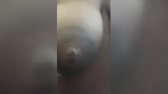 Black cougar vagina compilation