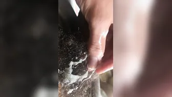 Close up Unshaved Cum Shot - Rock Mercury