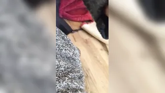 CREAMY LOAD from a DREAMY PENIS -ROCK MERCURY