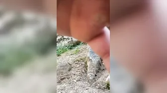Deep inside the ass and the bush