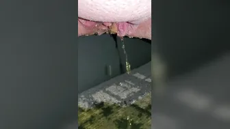 Perfect morning carpet