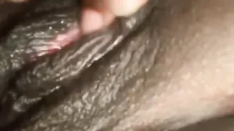 Fresh wax kitty