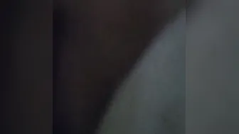 Bactrailer222