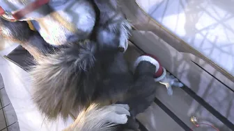 3Some with 1 Husky HD by h0rs3