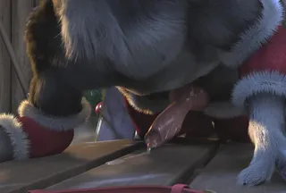 Yiff-YiffCollector