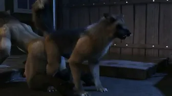 Deer training dog to be irresistible boy HD by h0rs3