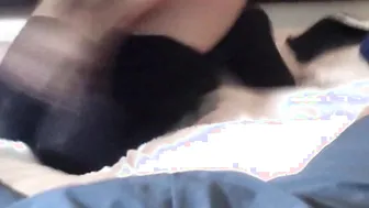 Jark Dick