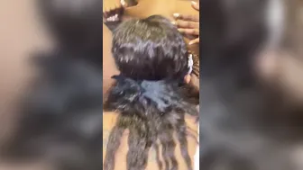 Hispanic eats african snatch into FFM 3Some while boned by big black cock