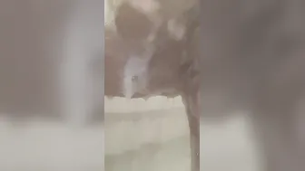 Shower play with razor