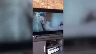 Khanyi Mbau- The Ex-Wife ShowMax - South Africa