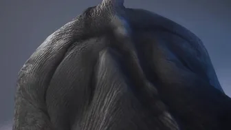 3Some with Rhino and Devil