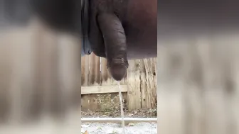 Squat porn video – Squat peeing outdoor again