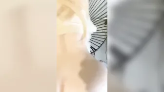 Le rompo el culo a una venezolana llorona