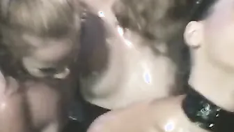 Various perfect chicks are taking part into pretty Hot sex