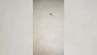 Culo lleno de leche  two