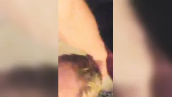 Goddess huge titty sexy sucking off huge cock like a champion