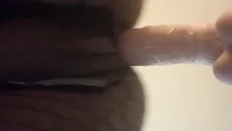Afternoon Fun 