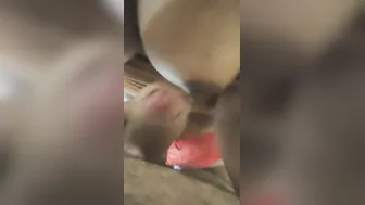 Hand Job and jizzed on titties
