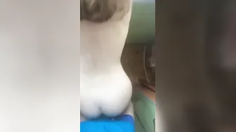 Anal Plugged college girl Fucks Her Neighbor's Window While He Watches