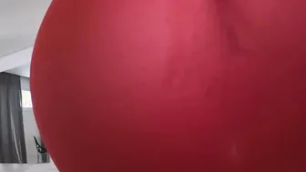 Luiza Marcato giving booty and making prolapse | Loupan Productions