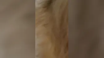 Giving her the best Cock of her life