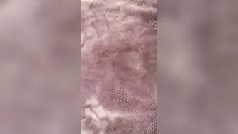 Massaging Hooters  Booty Spreading After Shower