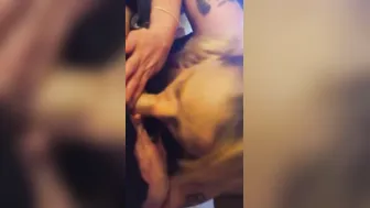 Hotel Skank cougar oral sex