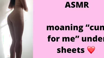 Asmr: groaning “cum for me” under sheets