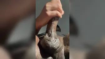 Solo Male Masturbation (RoomMates Are Home They Like To Spy On Me)