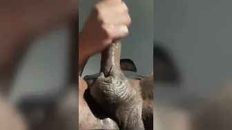 Solo Male Masturbation (RoomMates Are Home They Like To Spy On Me)