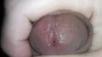 Having Fun tasty
