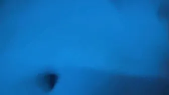 pov posing vagina licking