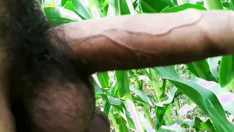 Hand Job into public and cummed on leaf gigantic penis
