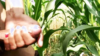 Hand Job into public and cummed on leaf gigantic penis
