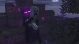 Minecraft compilation.