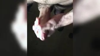 a quick nice jizzed