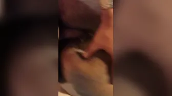 Anal With Ms Klump