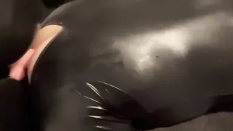 True fun - pegging my slave