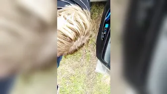 A man picked up a whore and boned her near