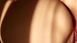 AniSexyKitty